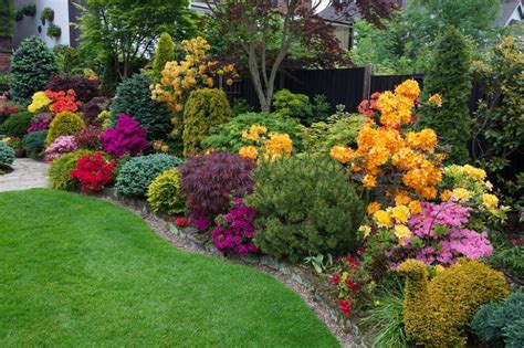 21 Small Shrub For Border Garden Ideas You Should Look Sharonsable