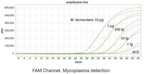 Biomycox Mycoplasma Pcr Kit Detect Mycoplasma Fast Hr