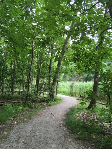 Forest River Trails