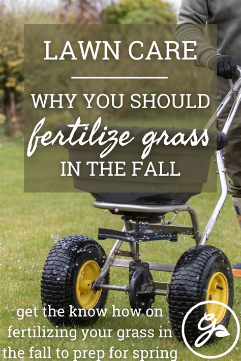 Everything You Need To Know About Fall Lawn Fertilizer Artofit