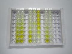 Elisa Kit For Tumor Necrosis Factor Alpha Tnfa Sea Si Rhesus