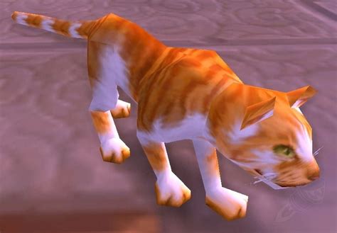 Cornish Rex Cat Npc World Of Warcraft