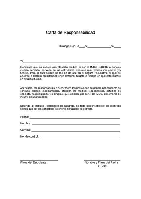 Carta De Responsabilidad Del Seguro Pdf