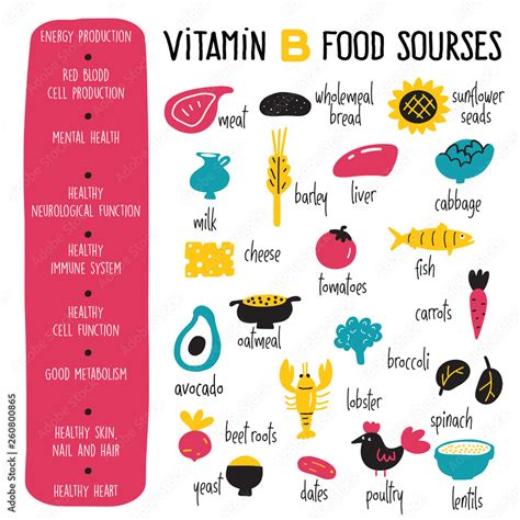 Vitamin B Complex Vector Cartoon Infographics Poster With Illustration