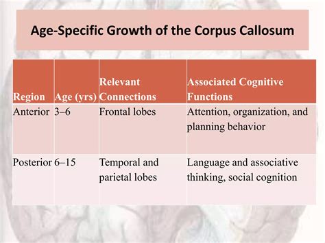 Disorders Of Corpus Callosum Ppt