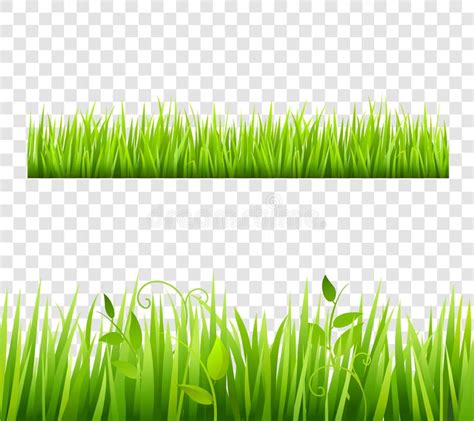 Grass Border Tileable Transparent Stock Vector - Illustration of ...