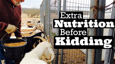 Feeding Goats Goat Nutrition Kiko Goats Goat Video Youtube