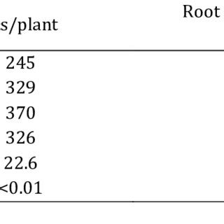 Effect Of P Penetrans Isolate Pp3 On Numbers Of Egg Masses Root