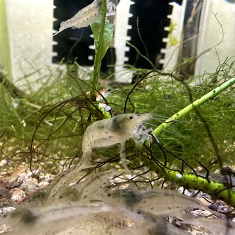 @jtkeepingfish | JT Keeping Fish | fishfam.link