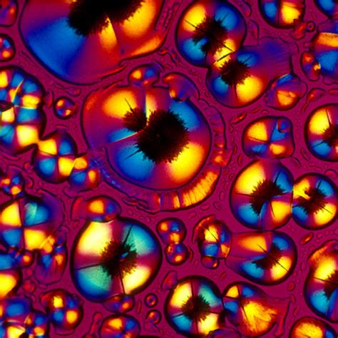 A Few Popular Alcoholic Drinks Under A Microscope 40 Pics