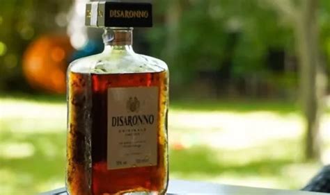 Sip and Savor: What Does Disaronno Taste Like?