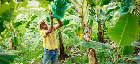 Mesa Agroclim Tica Del Minagricultura Presenta Recomendaciones A