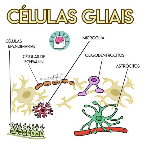 Neuronios E Celulas Da Glia - 6