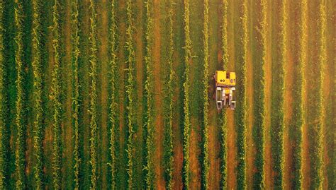 Descubra as principais áreas em Agronomia Voomp Blog