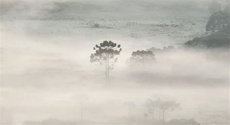 Em Pleno Ver O Temperaturas Abaixo De C E Campos Cobertos Por Uma