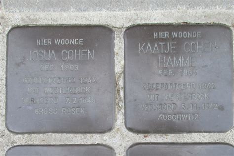 Stolpersteine Oosterparallelweg 69 Assen Tracesofwarnl