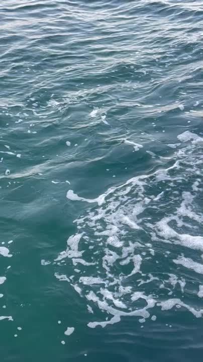 Лето в самом разгаре. Самое время поехать на море. О температуре ...