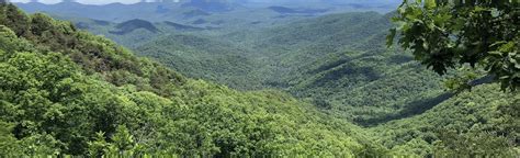 Appalachian Trail: Springer Mountain to Neels Gap, Georgia - 132 ...