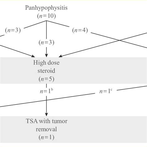 Summary of treatment courses of 22 patients with primary hypophysitis.... | Download Scientific ...