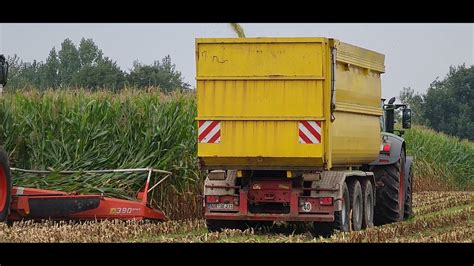 Mais Hakselen Harvesting Maize Claas Jaguar Met Kemper