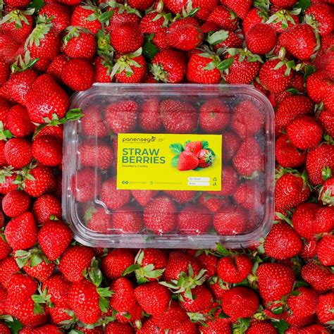 Jual Strawberry Stroberi Strawbery Fresh Ciwidey Premium 250gr