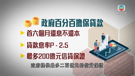 政府寬免利得稅推百分百擔保 特惠低息貸款上限二百萬元 20200226 Tvb News Youtube