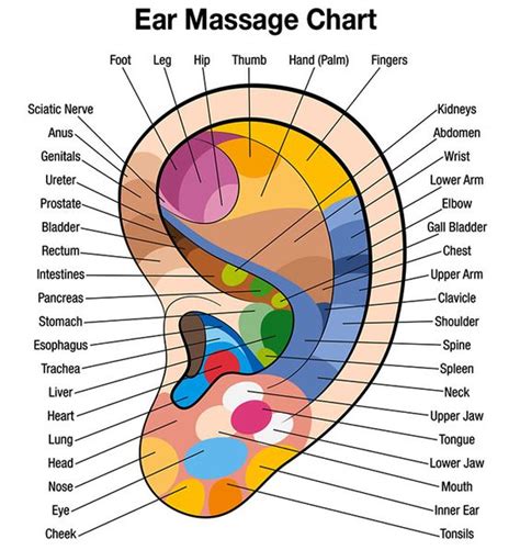 Ear Massage Chart For Self Healing Health And Medicine News