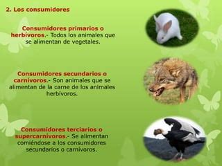 Ecosistemas Parte 2 PPT