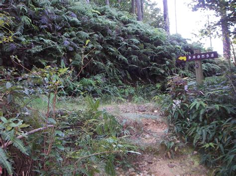 豊橋自然歩道（多米峠～富士見岩～旧姫街道～嵩山）