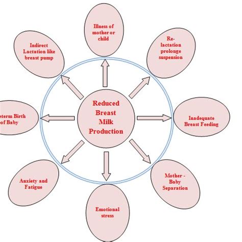 Physiology Of Lactogenesis And Role Of Different Hormones In Lactation