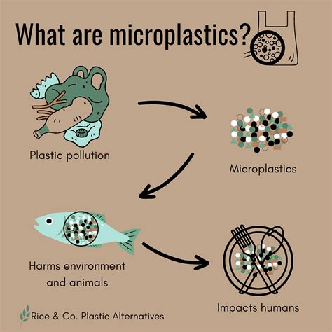 A Beginners Guide To Microplastics What Are They And Why Are They A