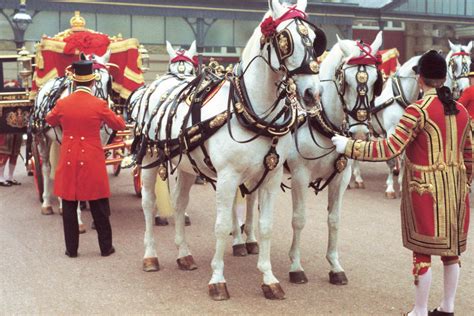 Buckingham Palace Ticket