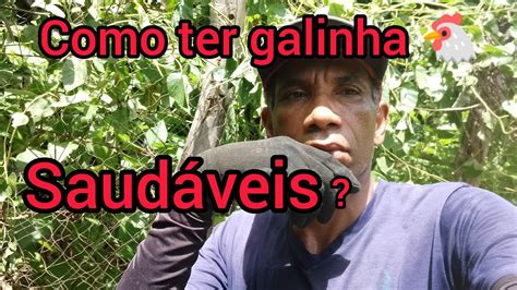 Como Ter Galinha Saud Veis E Natural Youtube