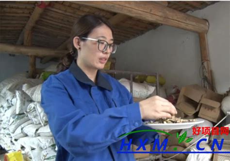 种植中草药 开出“致富药方” 好项目网