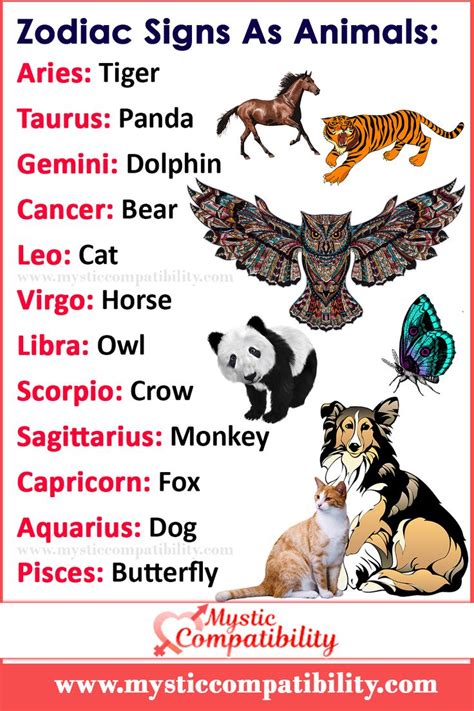 Zodiac Signs As Animals Mystic Compatibility