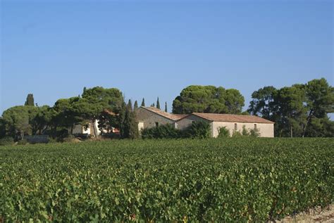 Domaine Viticole Vendre Dans Lh Rault Vignoble Dans Le Vinea