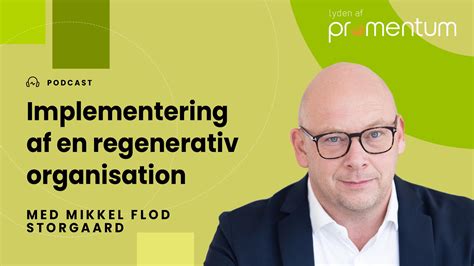 Implementering Af En Regenerativ Organisation Mikkel Flod Promentum