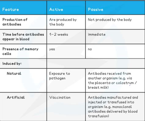 Types Of Immunity Flashcards Quizlet