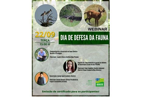 No Dia De Defesa Da Fauna Webinar Da Semad Debate Desafios E