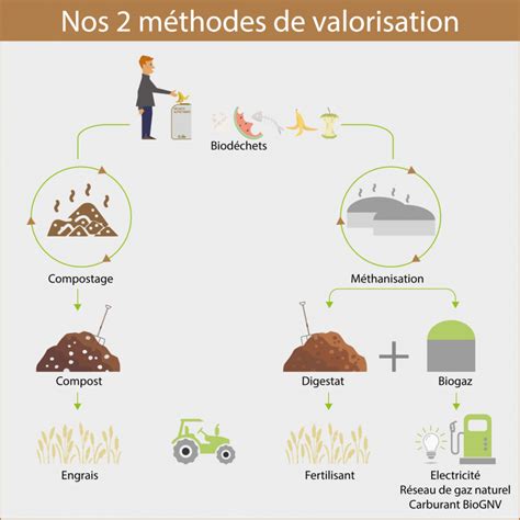 Ce Qu Il Faut Savoir Sur Les Biod Chets En Entreprise Valorisation