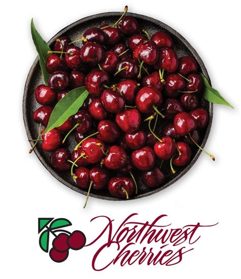 The New Season Of World Famous Cherries From The Pacific Northwest Has