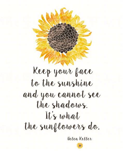 A Pink Sunflower With The Quote Keep Your Face To The Sunshine And You