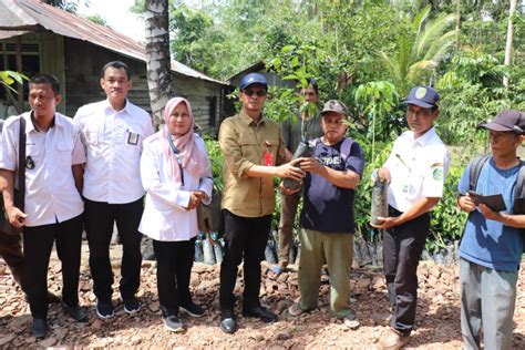 Langkah Nyata Peningkatan Sektor Pertanian Disbun Kaltim Bantu