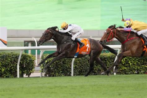 14战连胜香港马王“金枪六十”或远征日本！1赛马网第一赛马网