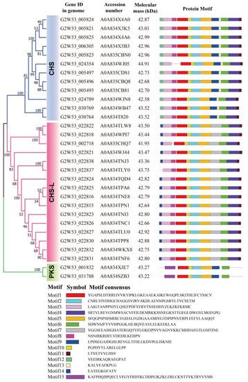 Ijms Free Full Text Genome Wide Mining Of The Tandem Duplicated