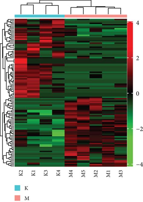 Analysis Of Differentially Expressed Mrnas Lncrnas And Circrnas A Download Scientific