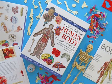 Wonders of Learning Box Set – Discover the Human Body – Headstart
