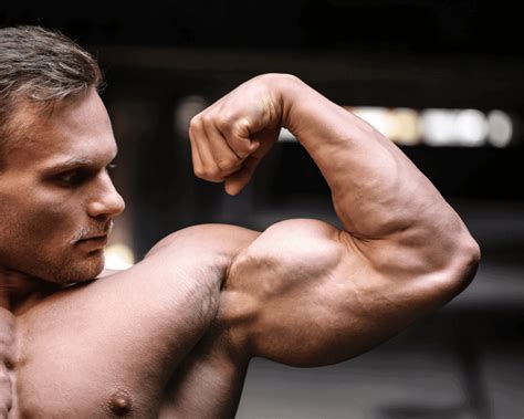 Hammer Curl Vs Bicep Curl Unleash Your Arm Gains With The Ultimate