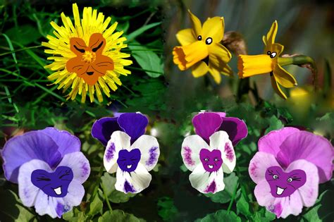 Alice In Wonderland Disney Flowers