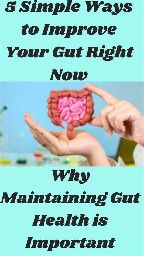 How To Improve Gut Health Easily At Home Artofit